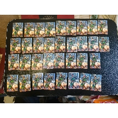 小浣熊水滸北細(xì)無八孫立34張