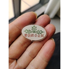 清鎮(zhèn)鐵合金廠(au41110768)_7788收藏__收藏熱線