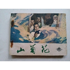 山菊花下