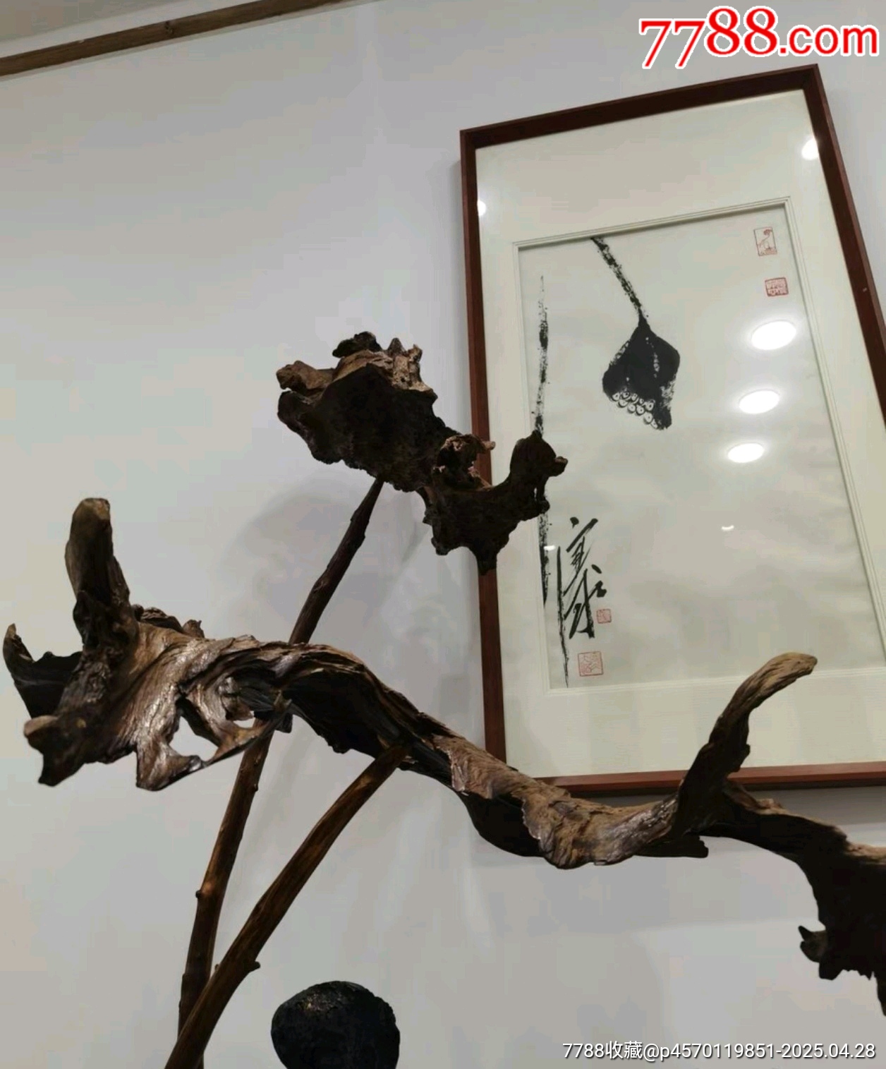根雕根作荷葉大擺件_價(jià)格5916元【蘭馨堂古玩收藏藝術(shù)】_第9張_