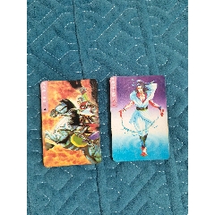 金士頓水滸卡2張（大冷門(mén)水滸卡）(au41135801)