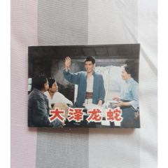 大澤龍蛇