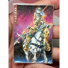 小浣熊水滸卡碎閃徐寧