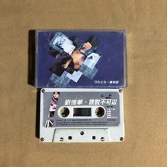 劉德華…可不可以（港~版）
