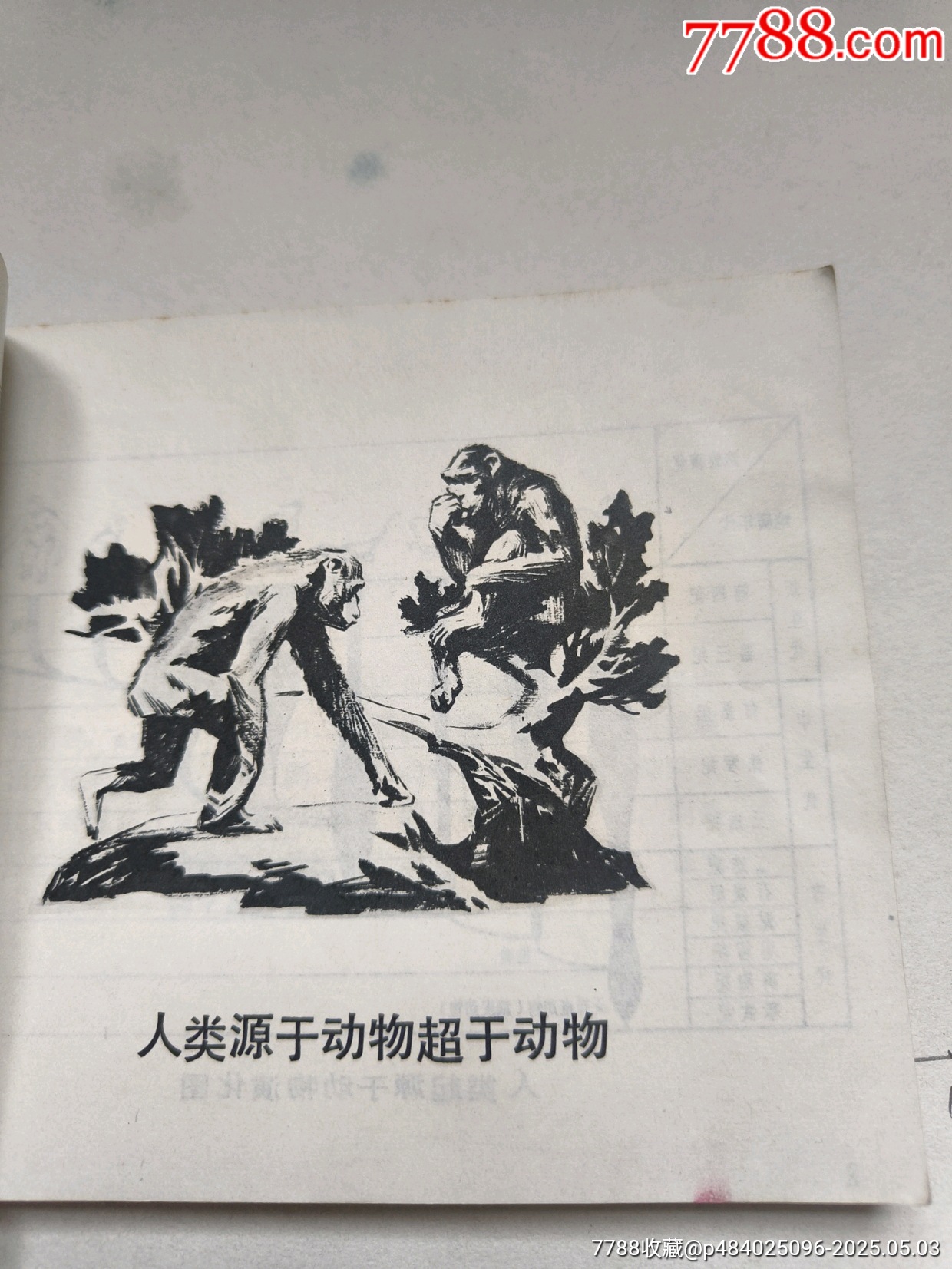 1977年版連環(huán)畫《勞動創(chuàng)造人》_價格17元_第9張_