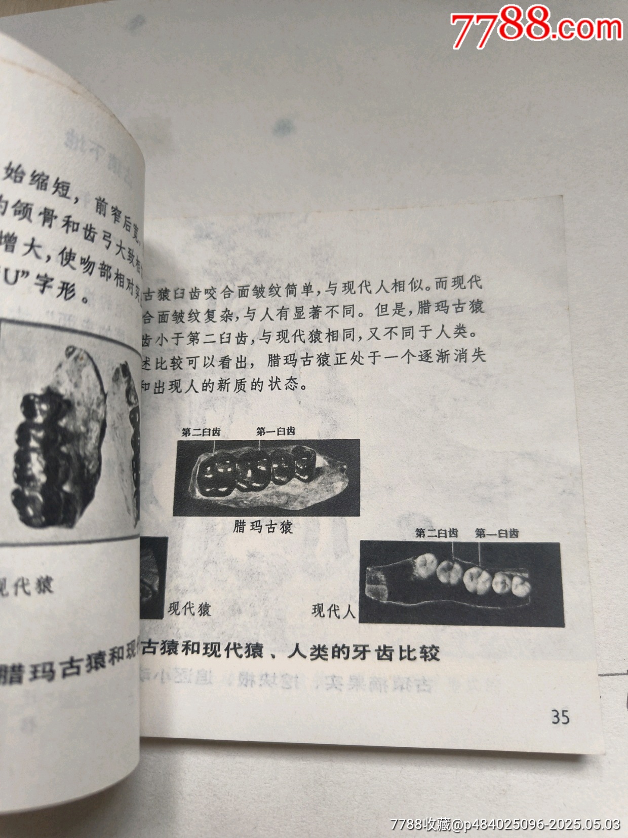 1977年版連環(huán)畫《勞動創(chuàng)造人》_價格17元_第16張_