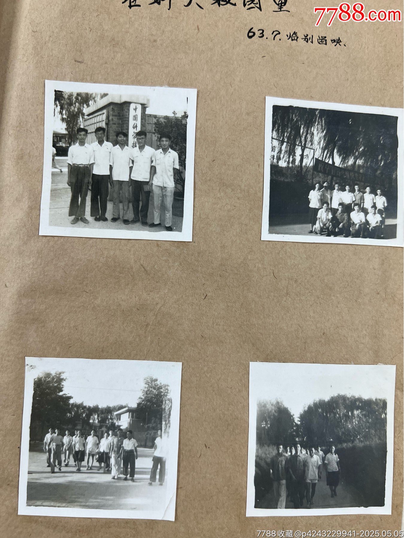 科學(xué)家和他醫(yī)生妻子的相冊(cè)5冊(cè)963枚一起拍……從50年代到80年代_價(jià)格2686元_第30張_