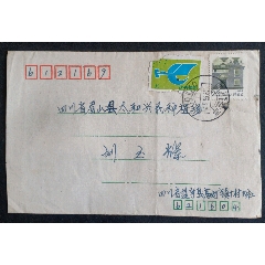 附加費(fèi)實(shí)寄封一鹽亭大戳郵件附加費(fèi)(au41230757)_安居收藏店