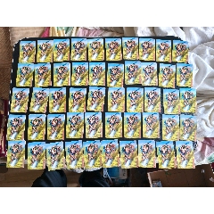 小浣熊水滸北細(xì)無八陶宗旺50張