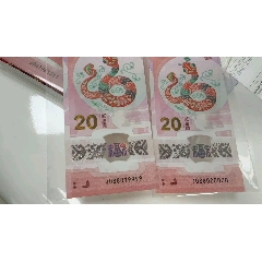 028獅子號☆全偶王☆六龍珠_