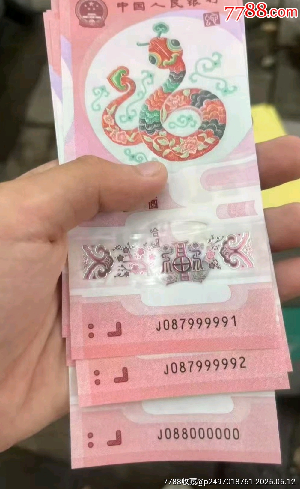 蛇二☆大象號(hào)☆七龍珠標(biāo)十_價(jià)格208888元【老精稀真品超市】_第2張_
