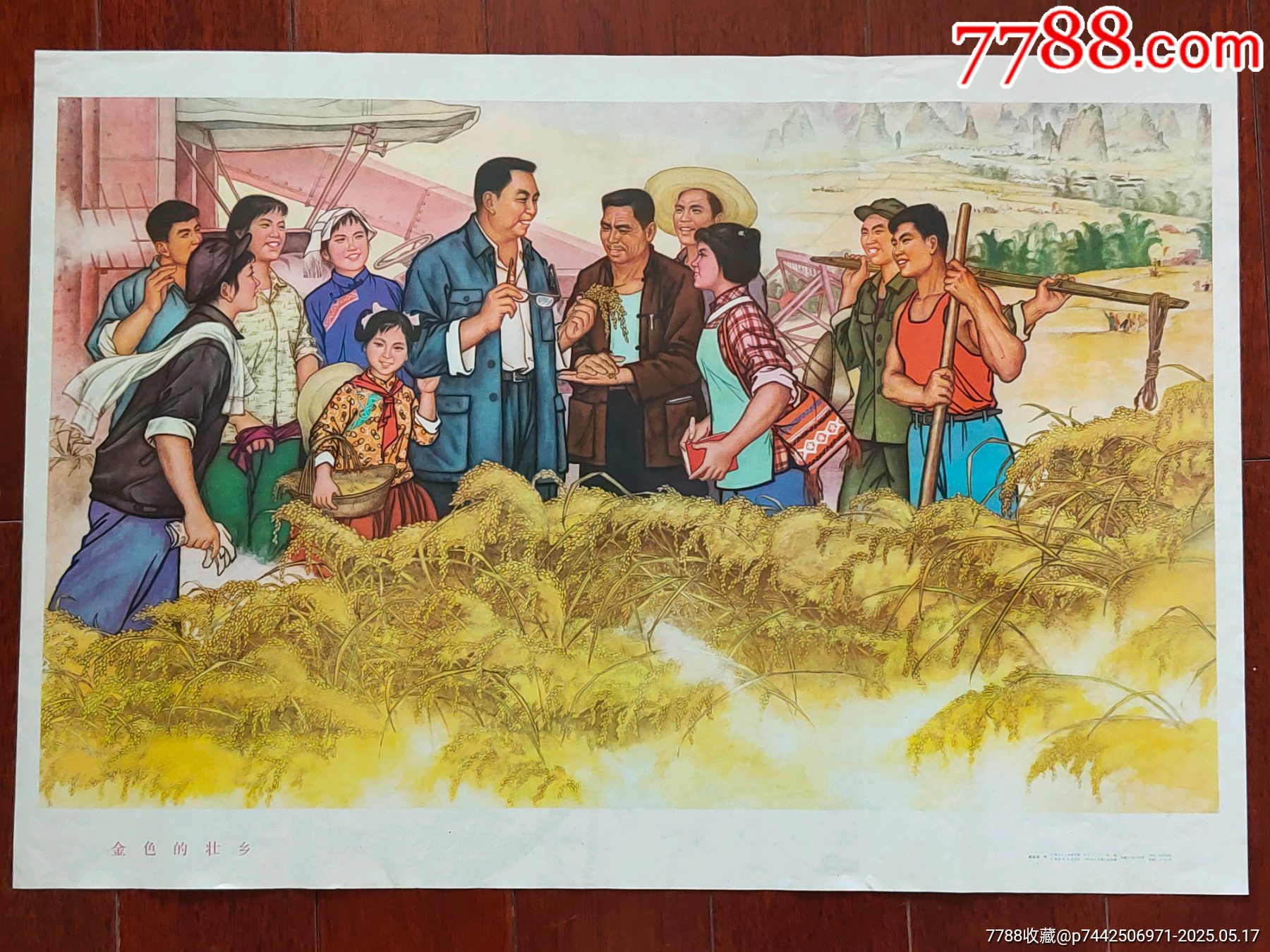 金色的壯鄉(xiāng)_價格866元_第1張_