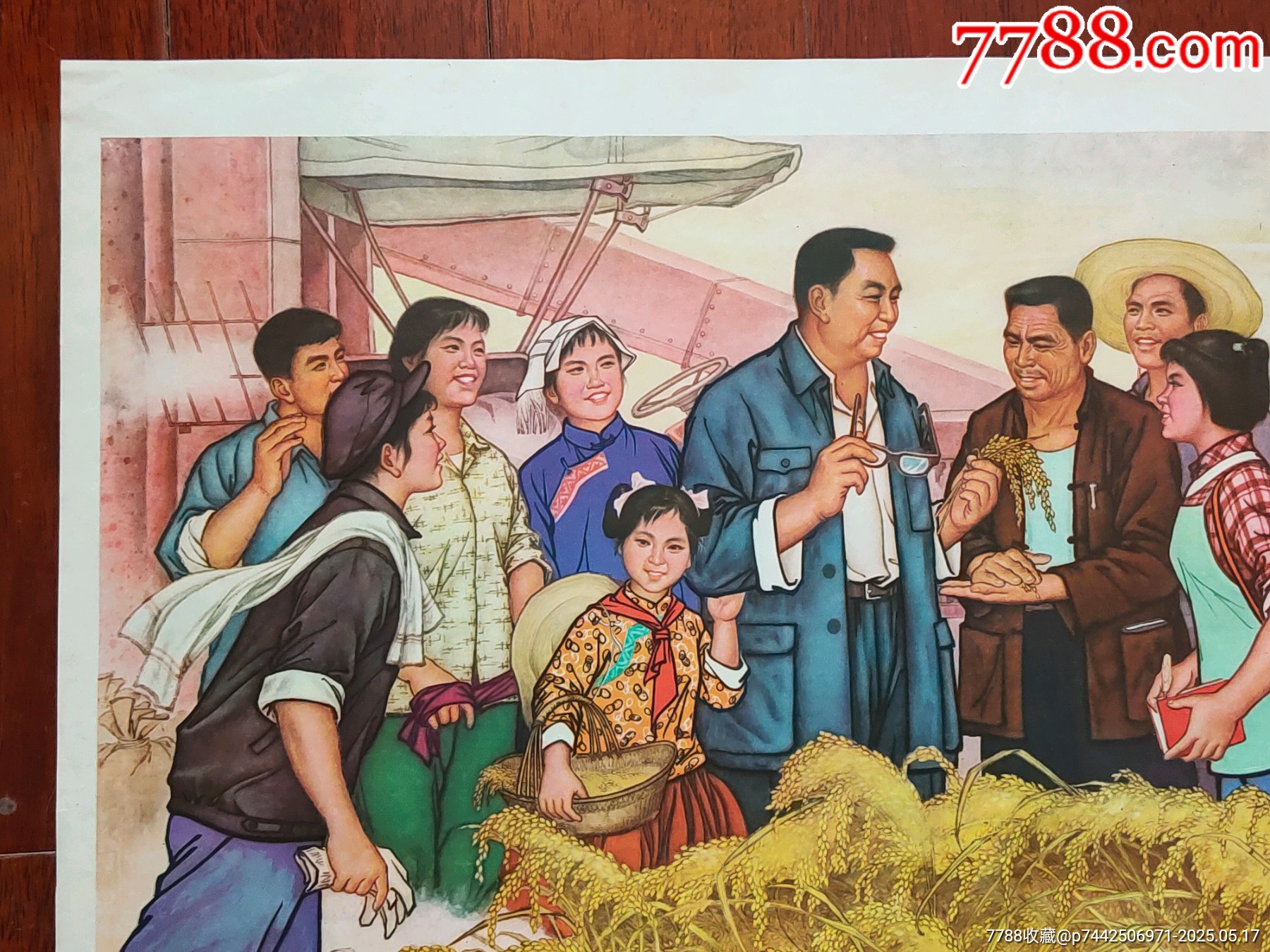 金色的壯鄉(xiāng)_價格866元_第2張_