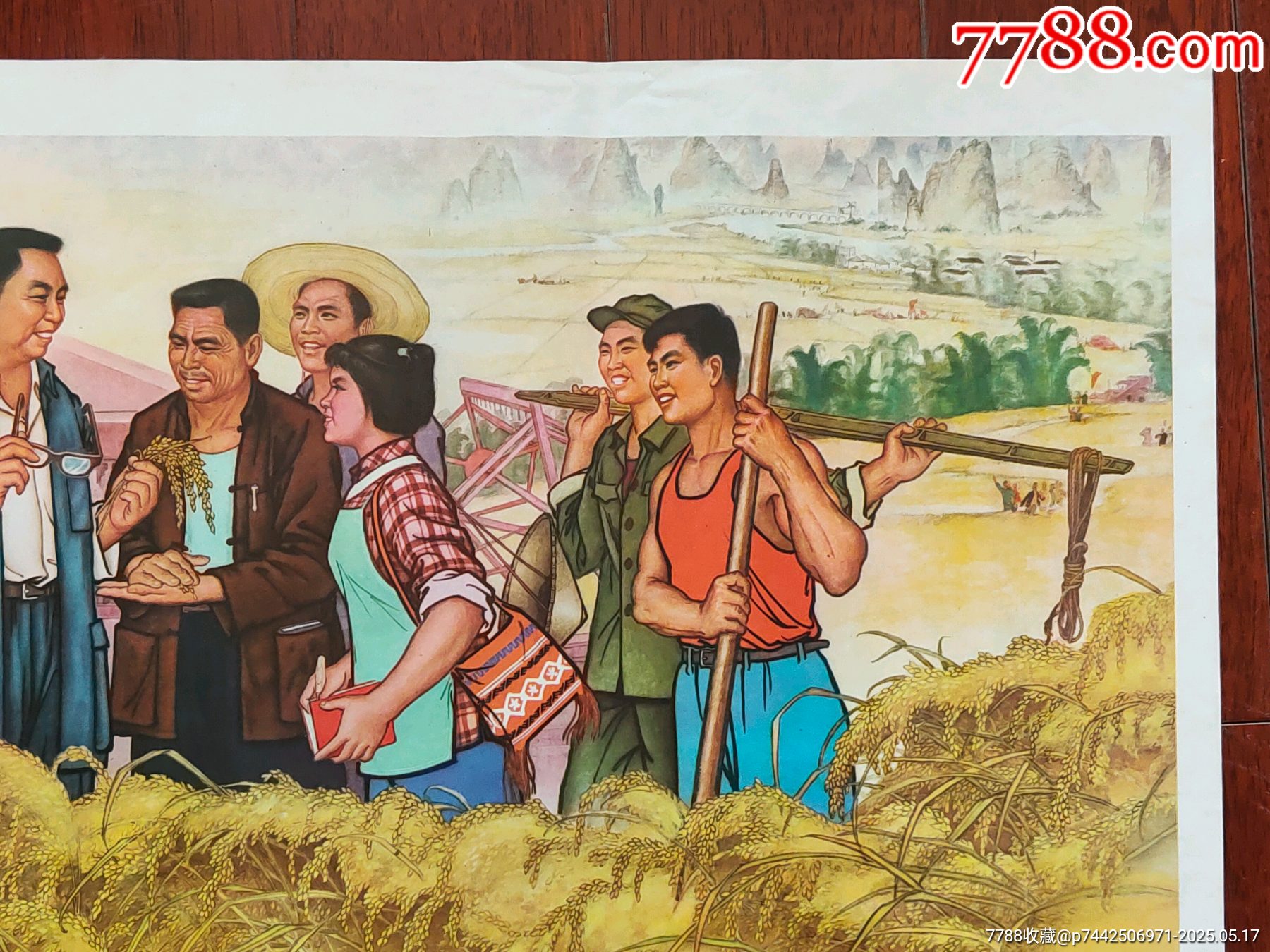 金色的壯鄉(xiāng)_價格866元_第3張_