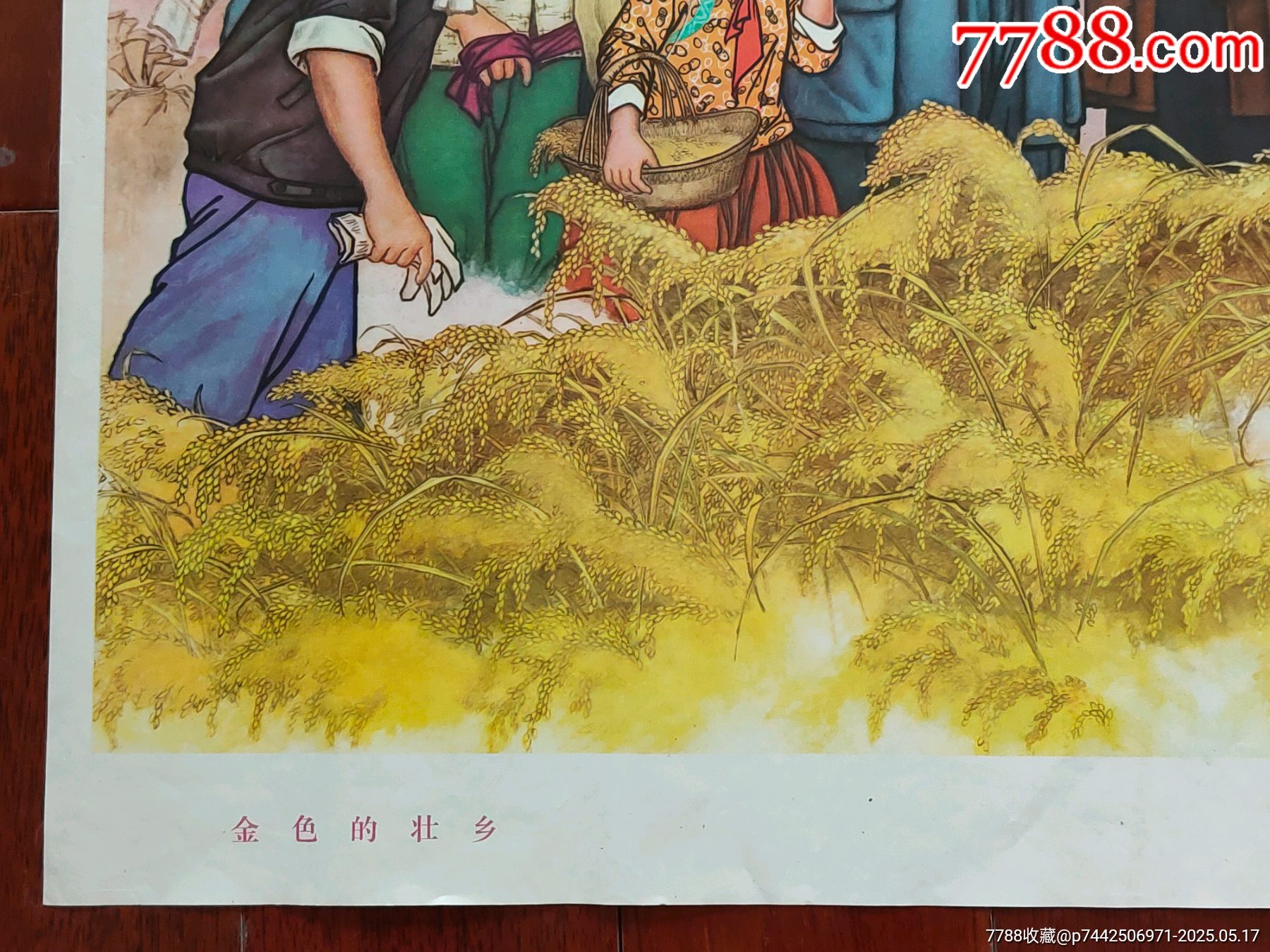金色的壯鄉(xiāng)_價格866元_第4張_