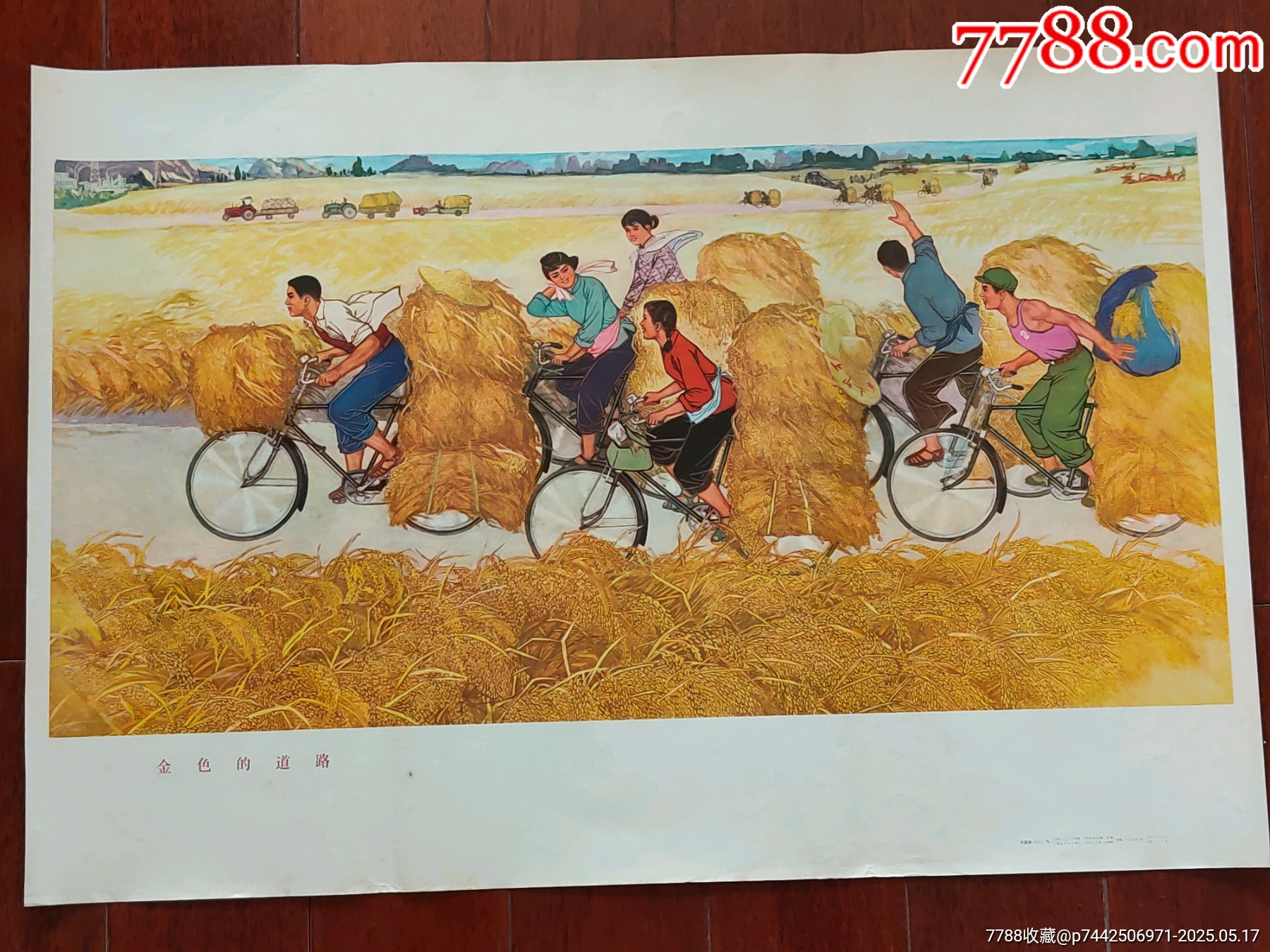 金色的道路_價(jià)格866元_第1張_