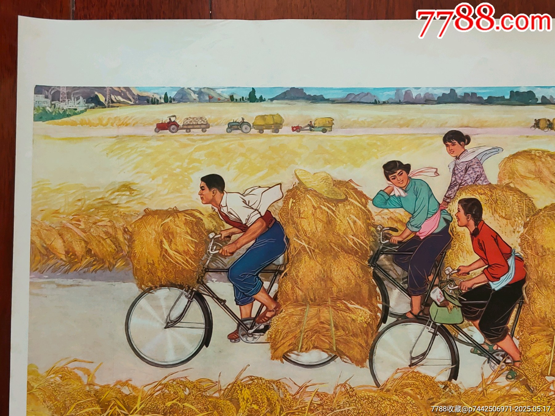 金色的道路_價(jià)格866元_第2張_