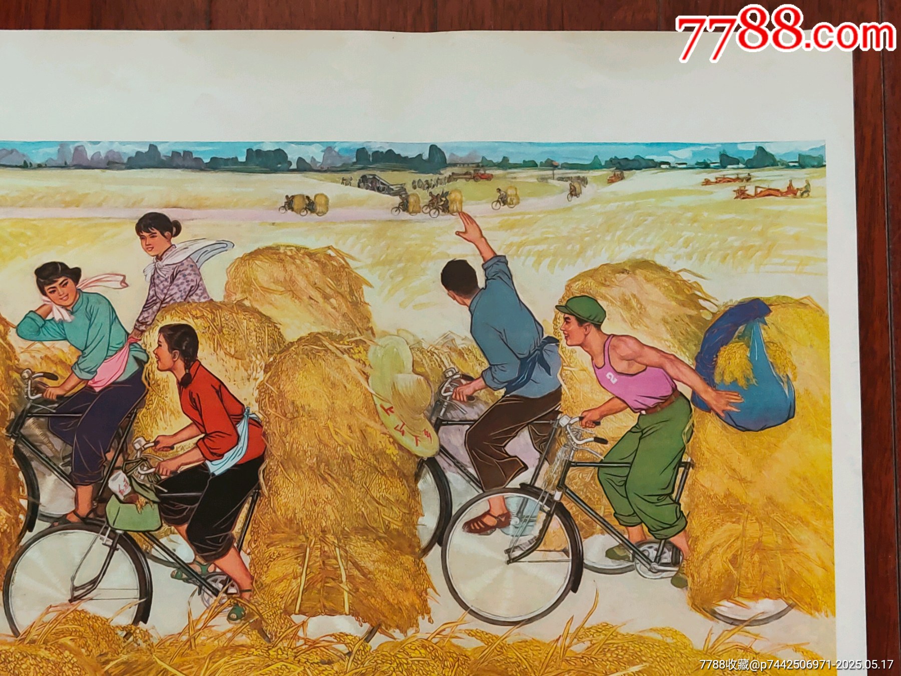 金色的道路_價(jià)格866元_第3張_
