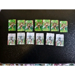 小浣熊水滸北細(xì)無八解珍解寶13張