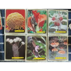 花卉1985年歷卡合拍，出價代表認可品相品類，所見即所得實物拍攝