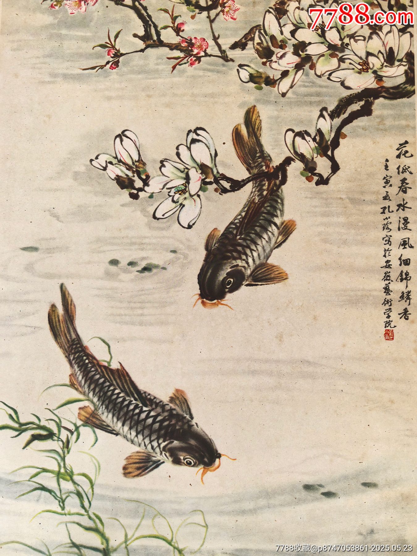 62年，魚戲春水_價(jià)格338元_第2張_