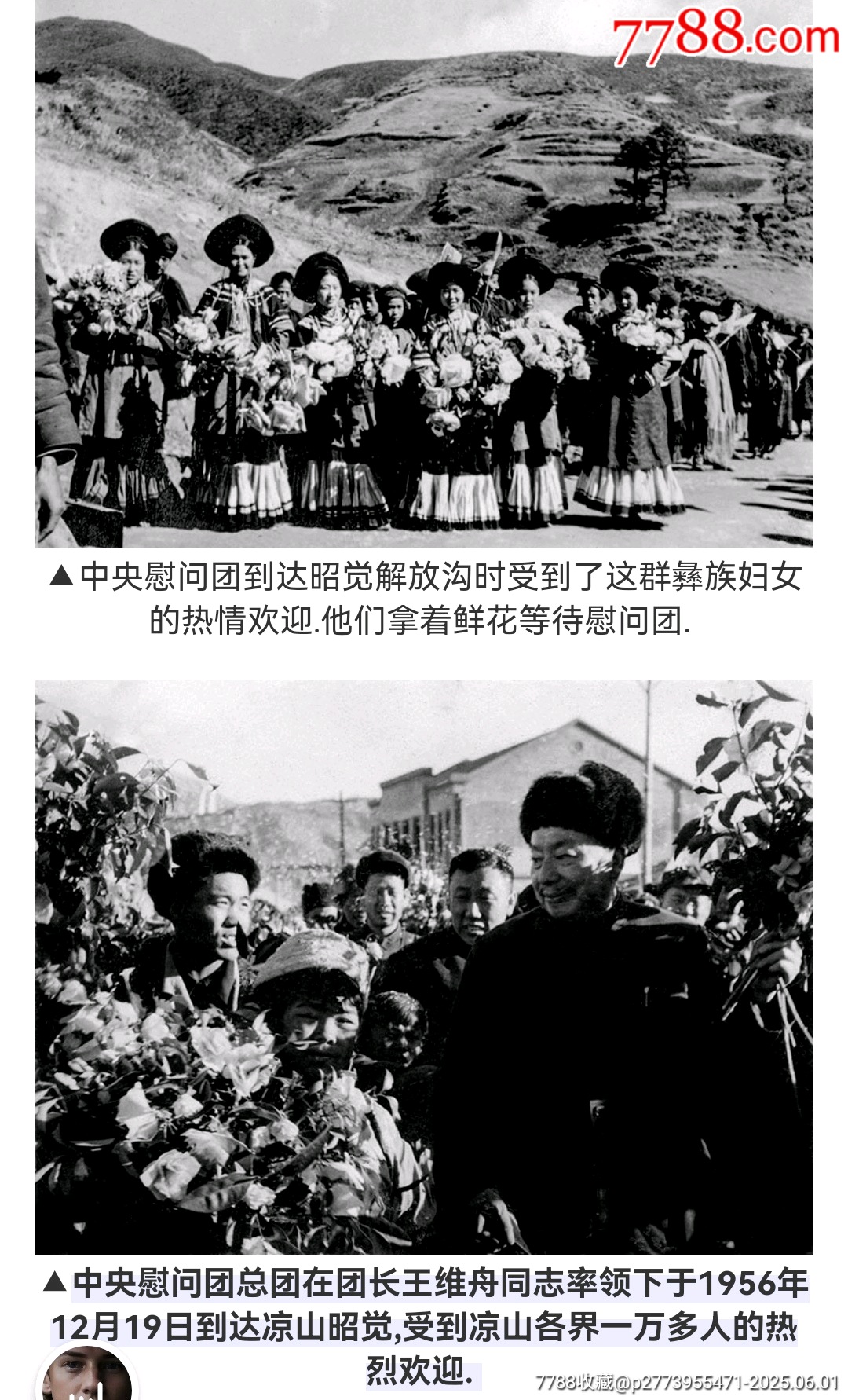美品中＊慰問(wèn)團(tuán)贈(zèng)章_價(jià)格750元_第6張_