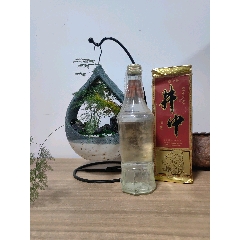 安徽井中御酒