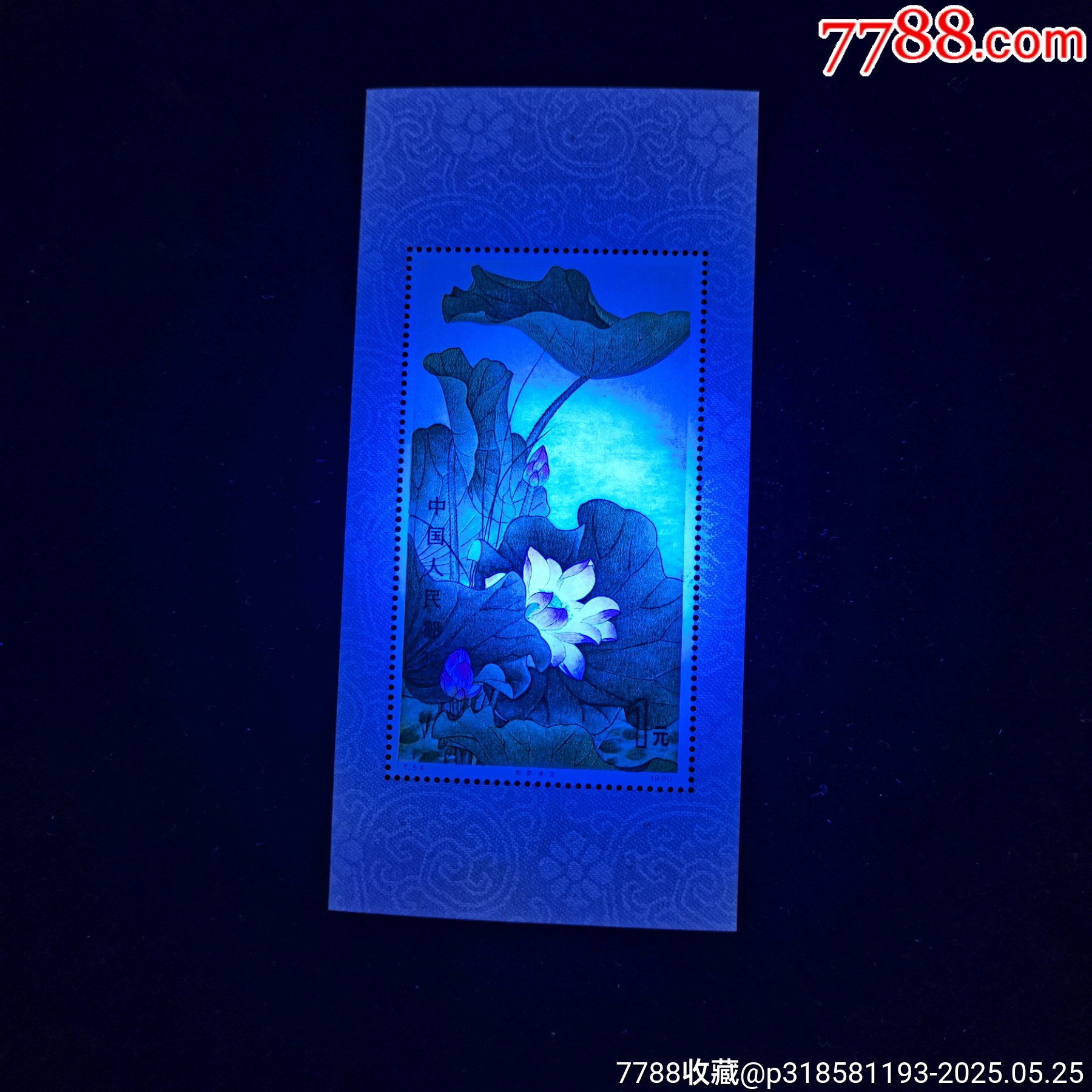 原票絕品燈下無斑T54《荷花》小型張一張_價(jià)格1060元_第4張_