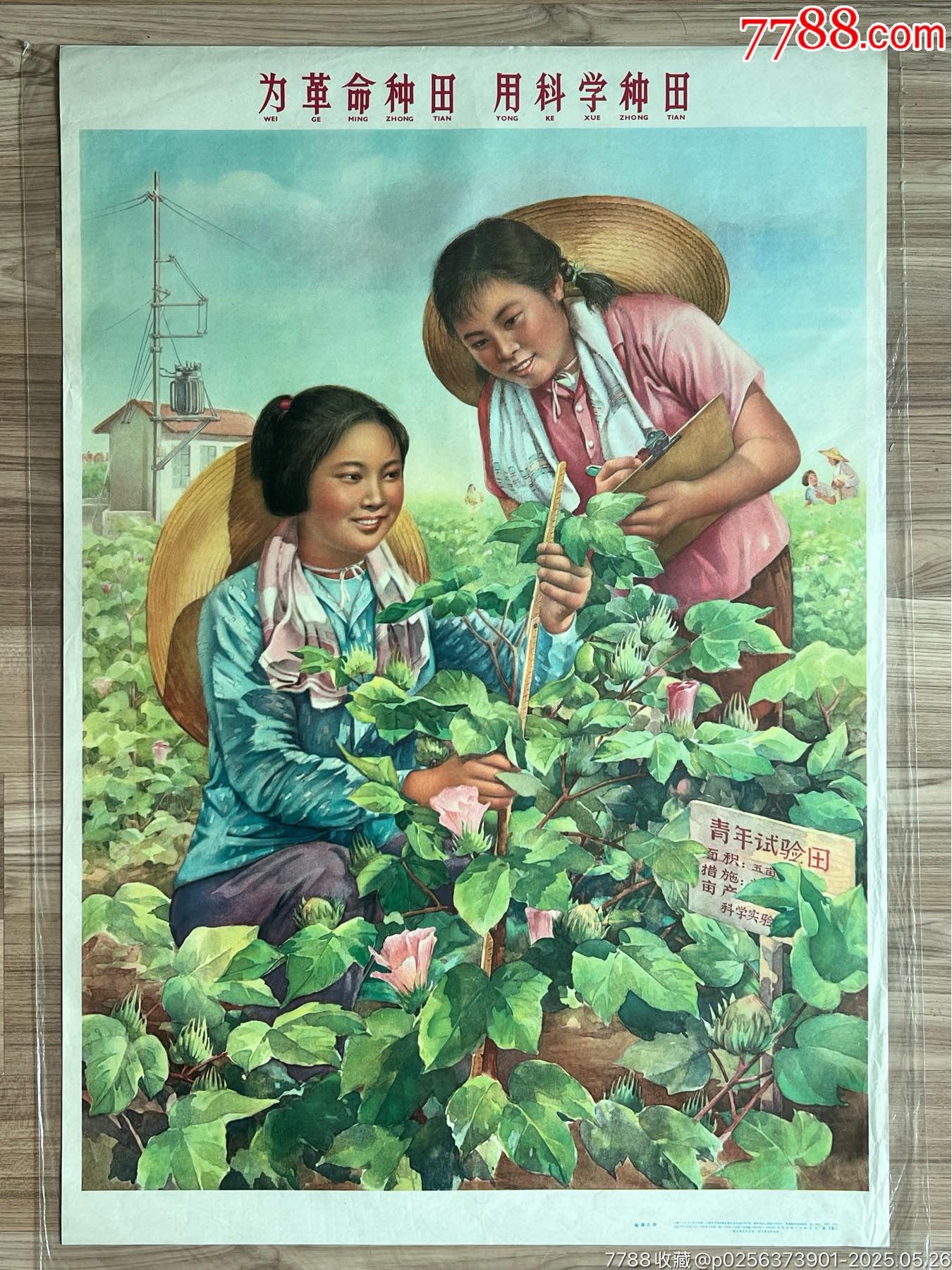 為革命種田……（上海66年，稀見）_價(jià)格3050元_第1張_