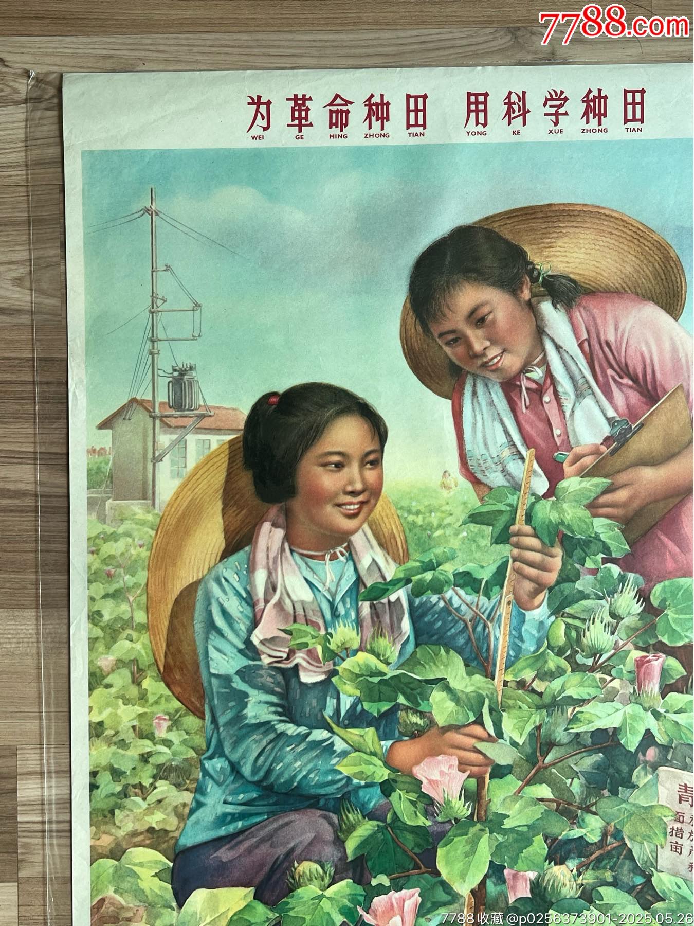 為革命種田……（上海66年，稀見）_價(jià)格3050元_第3張_