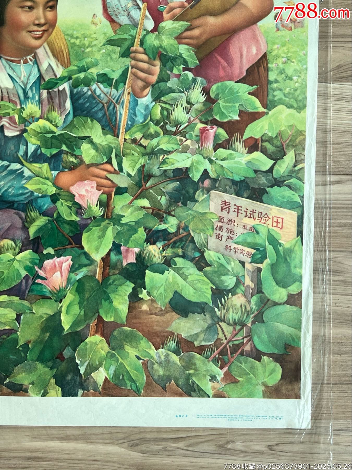 為革命種田……（上海66年，稀見）_價(jià)格3050元_第4張_