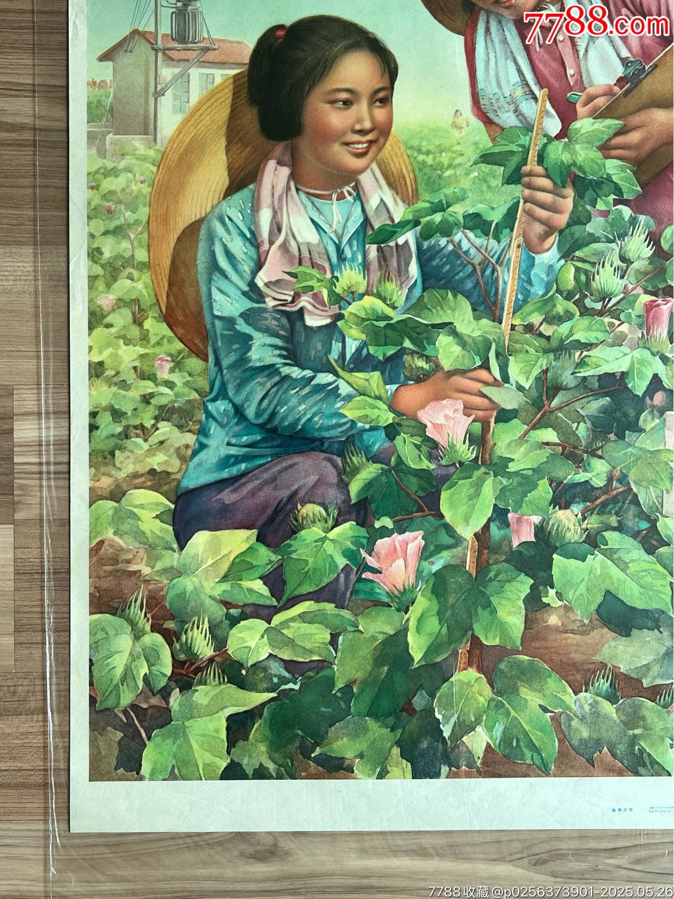 為革命種田……（上海66年，稀見）_價(jià)格3050元_第5張_