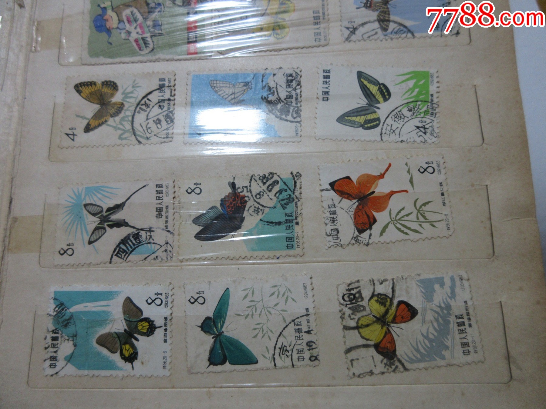 570枚不同樣品種豐富的老紀(jì)特信銷套散票兩本_價(jià)格2901元_第29張_