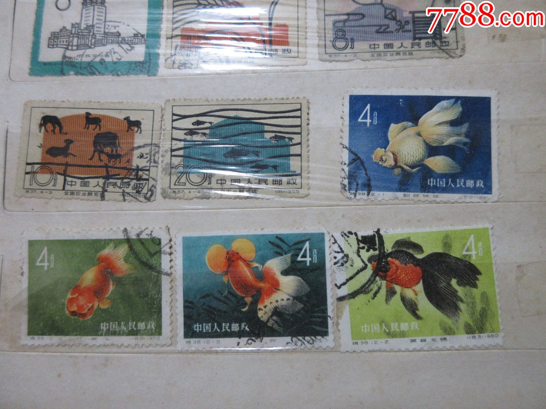 570枚不同樣品種豐富的老紀(jì)特信銷套散票兩本_價(jià)格2901元_第25張_