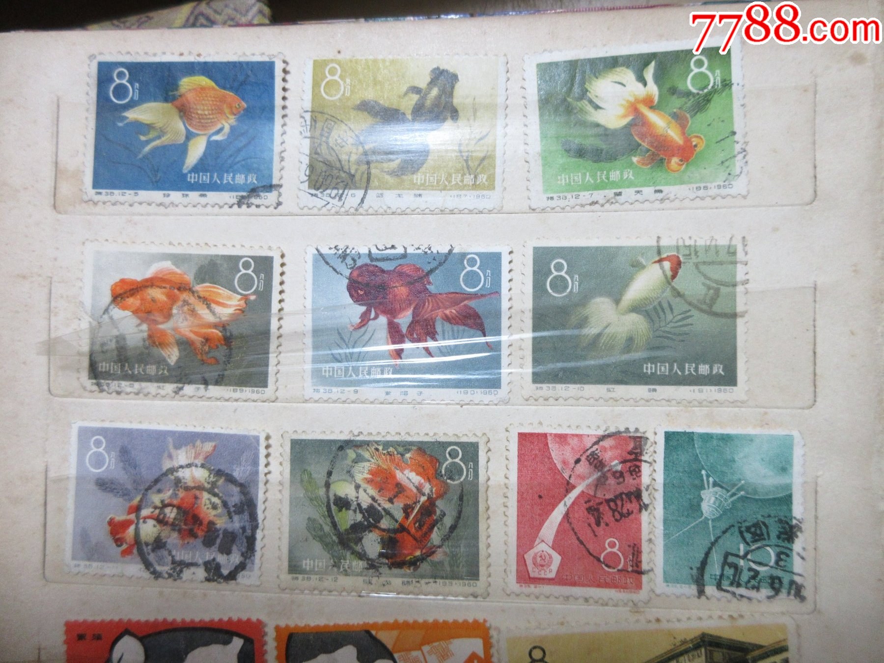 570枚不同樣品種豐富的老紀(jì)特信銷套散票兩本_價(jià)格2901元_第26張_