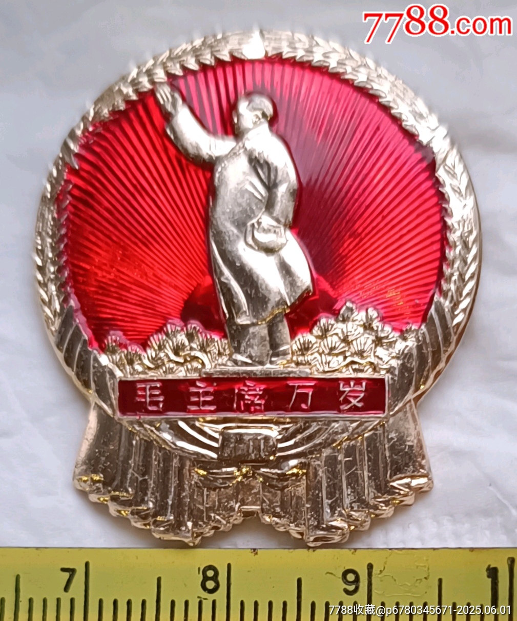 國(guó)徽毛主席視察*全身像章，_價(jià)格100元【知青收藏店】_第5張_