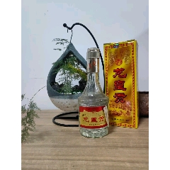 安徽鳳臺(tái)龍皇貢