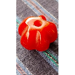 千年燈籠珠_