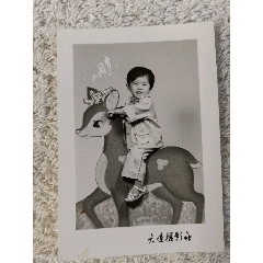 小姑娘騎小鹿