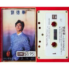 劉德華-2025-0602X