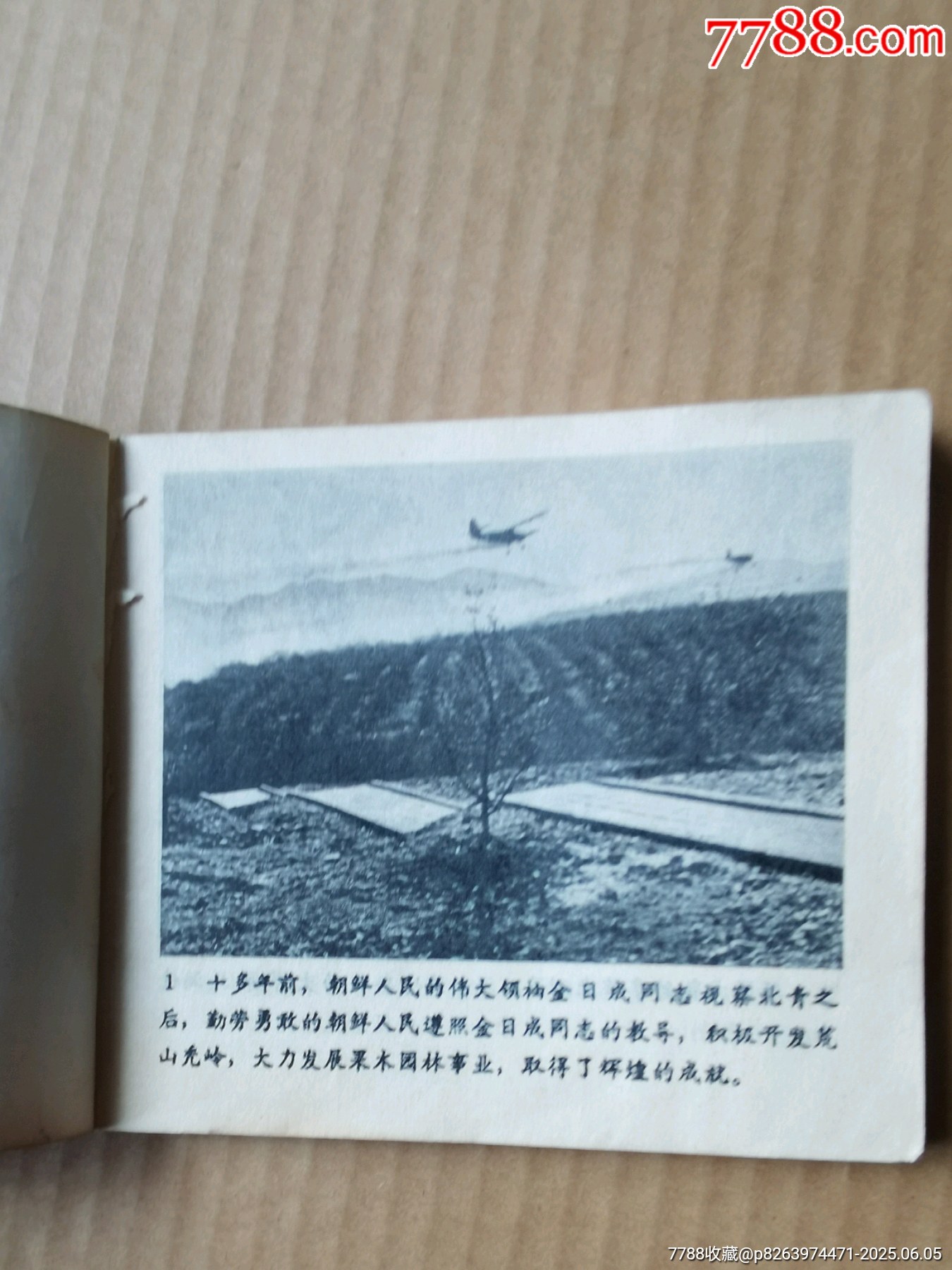 摘蘋果的時候_價格6元_第5張_