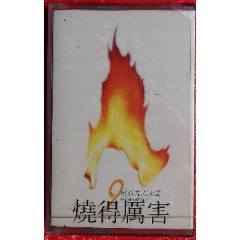 燒得厲害-全新未拆-2024-0827X