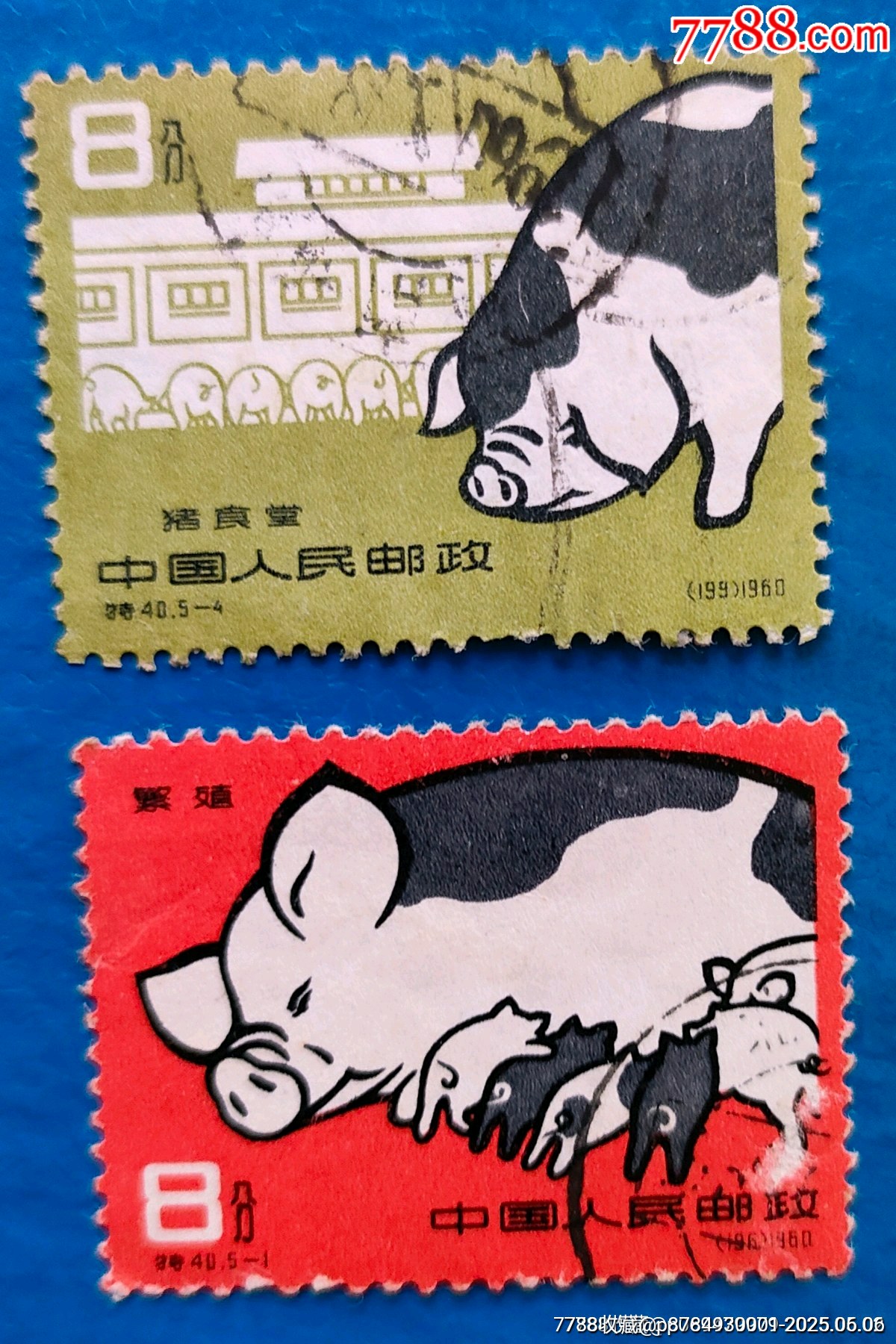 老紀(jì)特《養(yǎng)豬》信銷票二枚_價格7元_第1張_