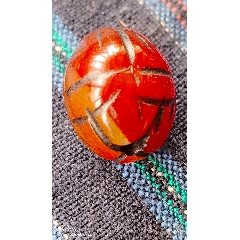 千年紅瑪瑙雕刻仲（花蕾）_
