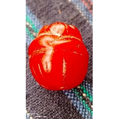 千年瑪瑙花蕾_