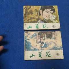 天津版，品弱（同名電影題材）《山菊花，2本一套》自定品