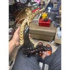 老牛角雕老鷹擺件，雕刻精美，如圖所見(jiàn)發(fā)貨_其他角制品_￥172