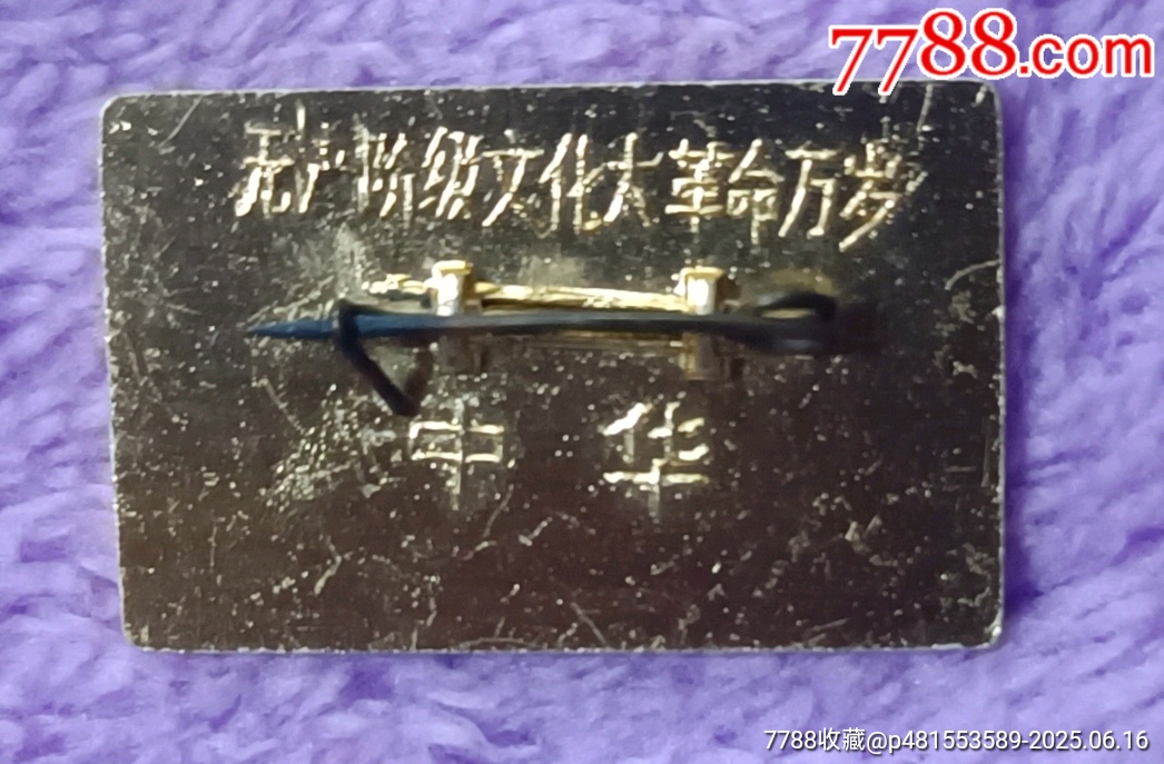 老油彩毛主席接見紅*兵像章_價格70元【知青收藏店】_第6張_