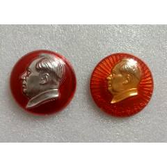 有機(jī)塑料章一對_