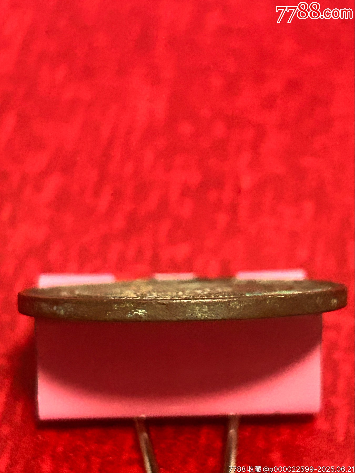 廣東十文-八尾飛龍_價格8元_第3張_